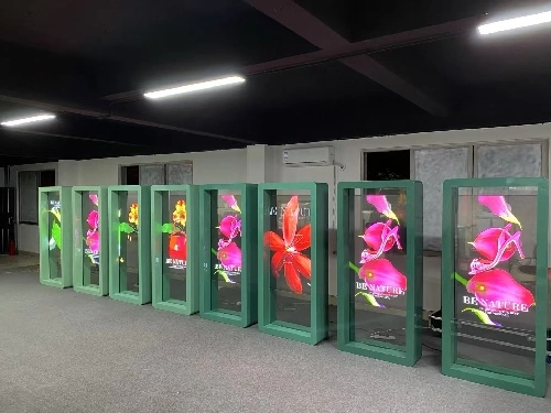 Transparent OLED Displays Transparent OLED Displays