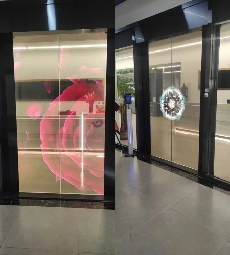 Transparent OLED Transparent OLED
