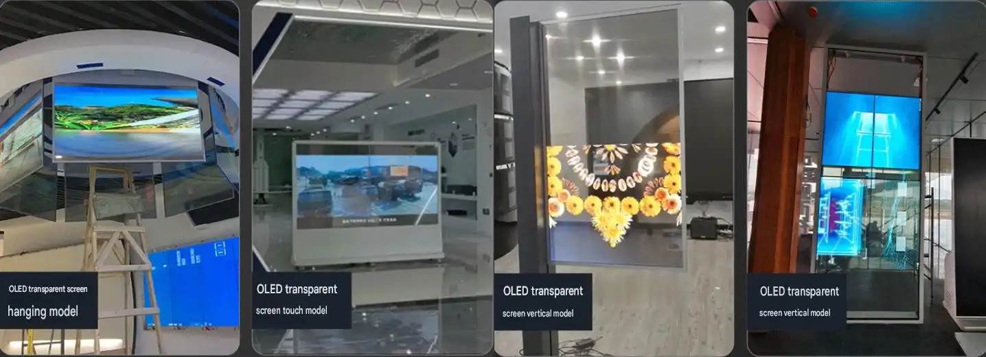 OLED Transparent Display